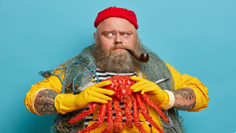 Thestripesblog Frank Fisher: Exploring the Insights Behind the Blog